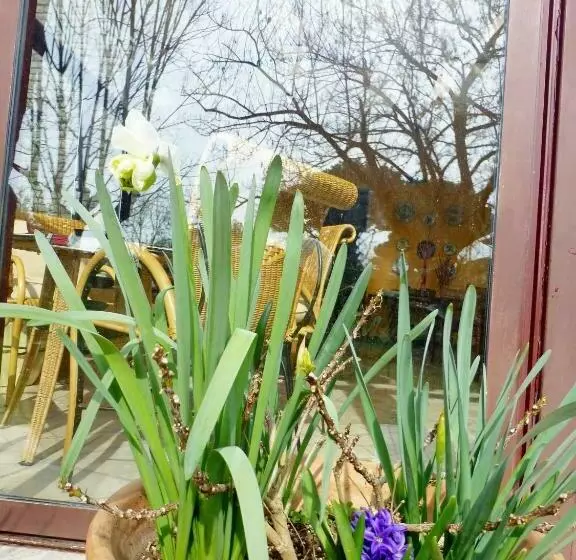 Majatalo B&b Villa Acero