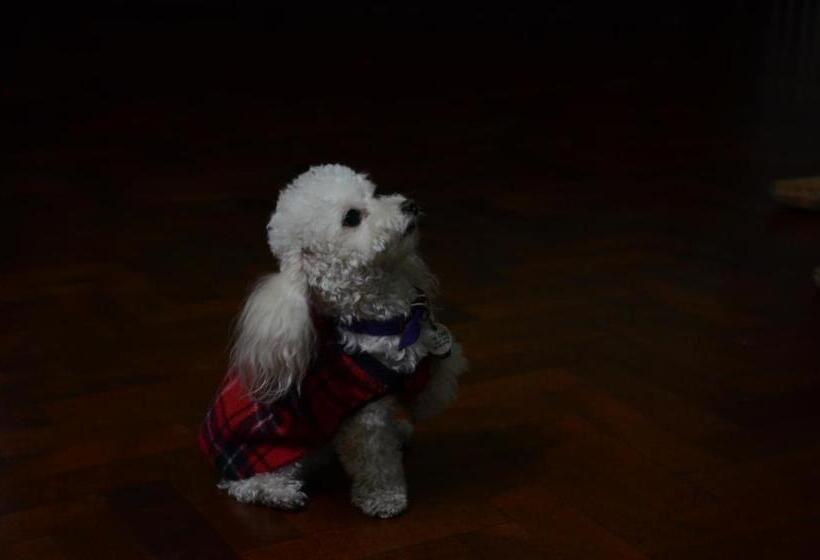 Pension Casa En El Corazón De Mendoza