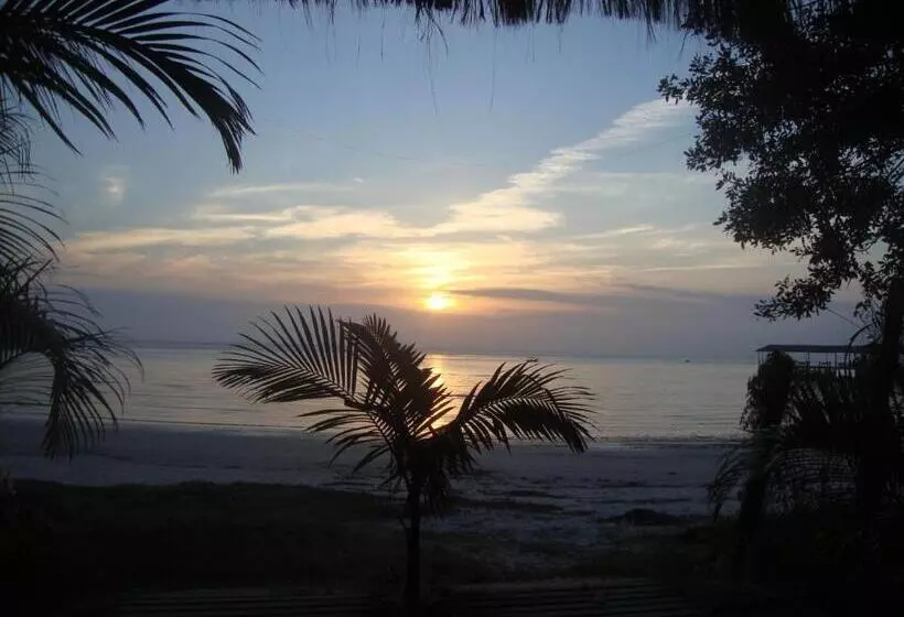 ペンション Pousada Mar E Cia