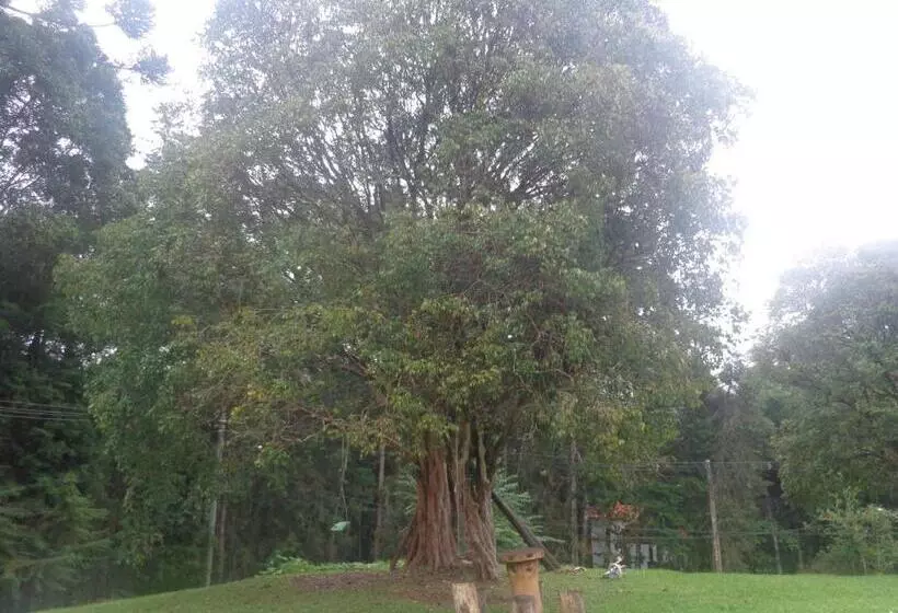 Majatalo Pousada Pizzaria Do Vale