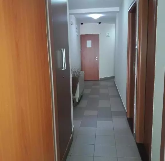 پانسیون Prenoćište Konstantin 2008