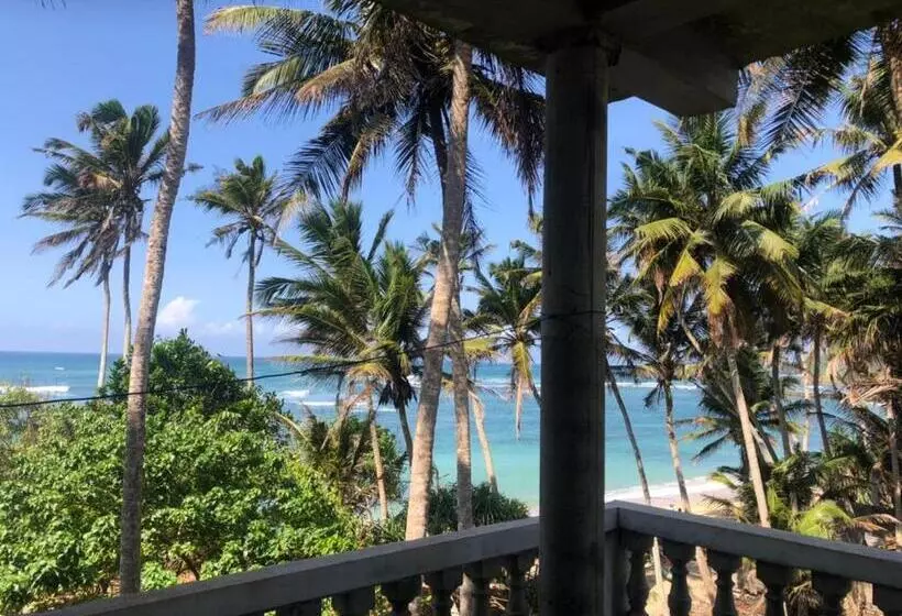 پانسیون Sunray Rest   Beach View Homestay