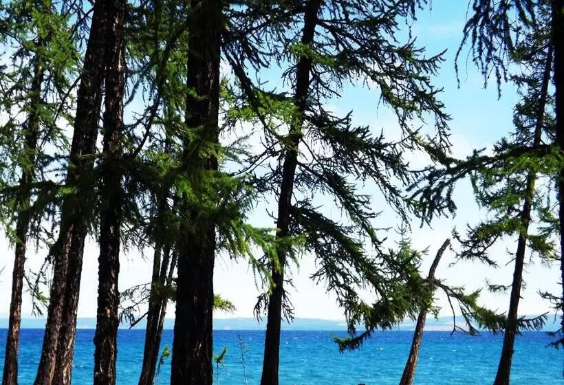 پانسیون Top Tour & Guesthouse Mongolia