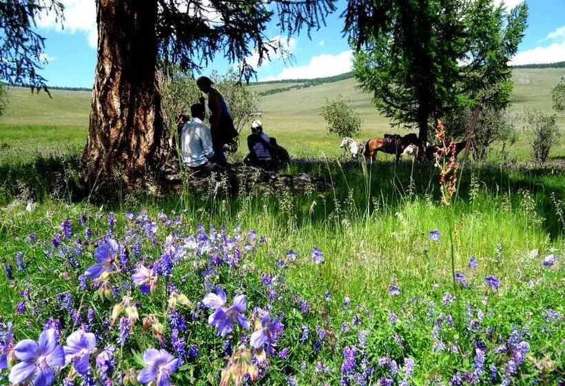 پانسیون Top Tour & Guesthouse Mongolia