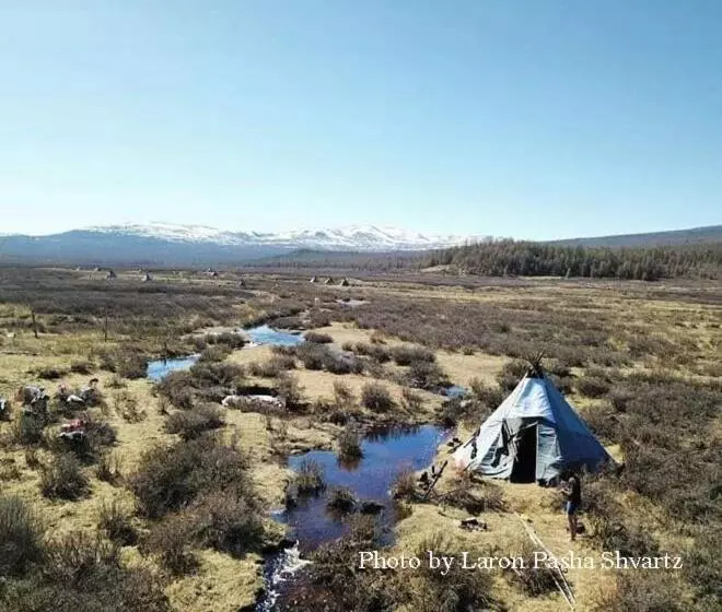پانسیون Top Tour & Guesthouse Mongolia
