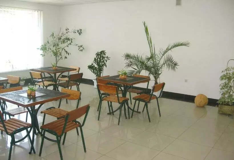 پانسیون Vian Guest House