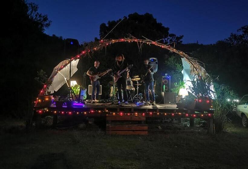 הוסטל Fairy Knowe Backpackers Lodge