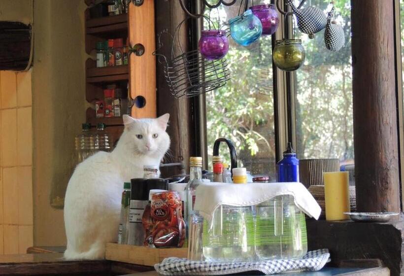 הוסטל Fairy Knowe Backpackers Lodge