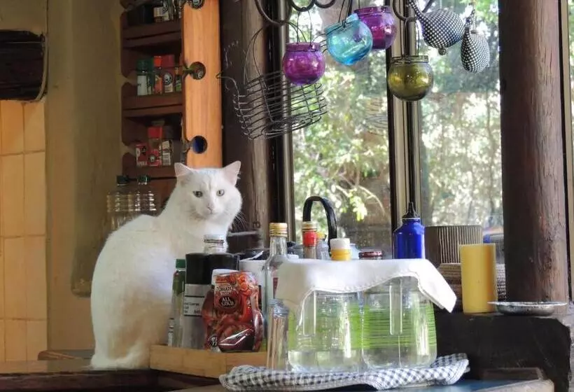 Retkeilymaja Fairy Knowe Backpackers Lodge