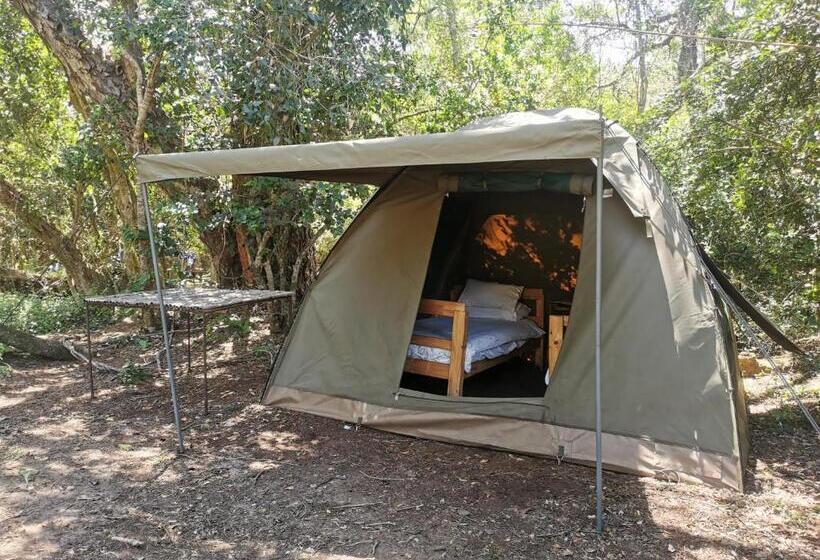 הוסטל Fairy Knowe Backpackers Lodge