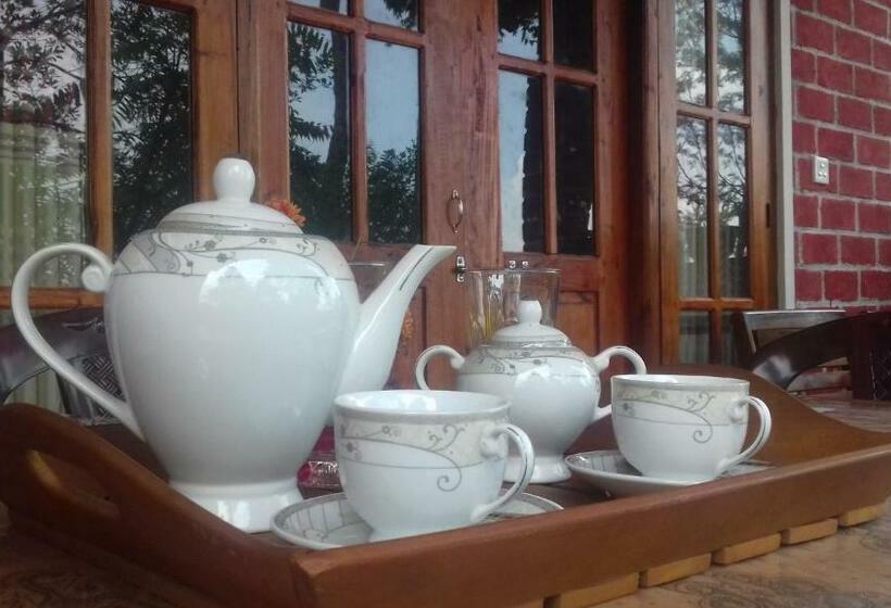 Bed and Breakfast Opal Cottage Ella