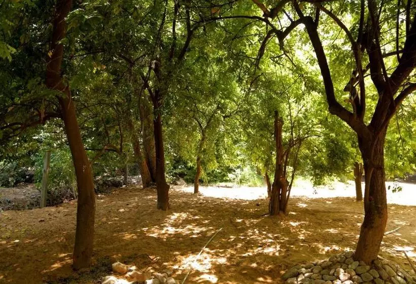 Green Heaven Resort