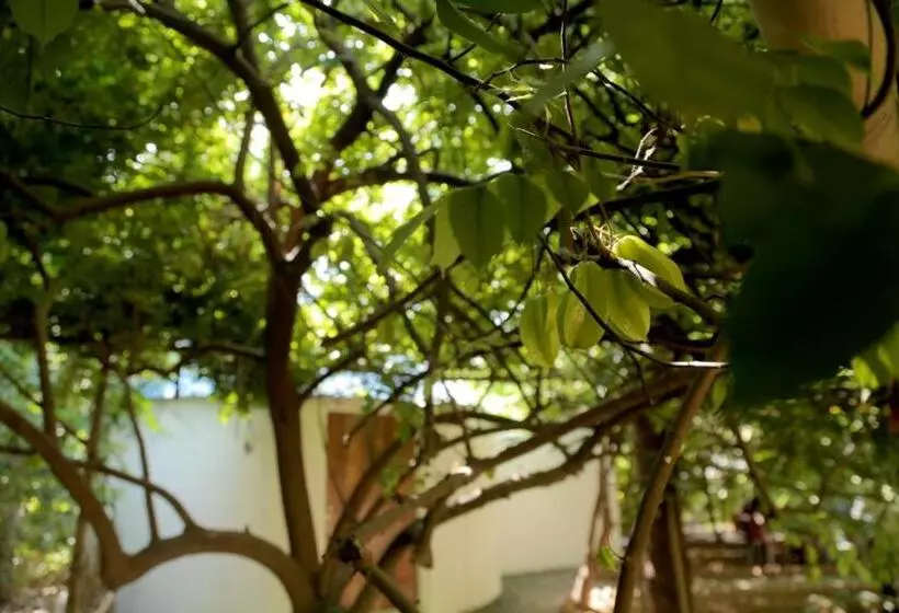 Green Heaven Resort