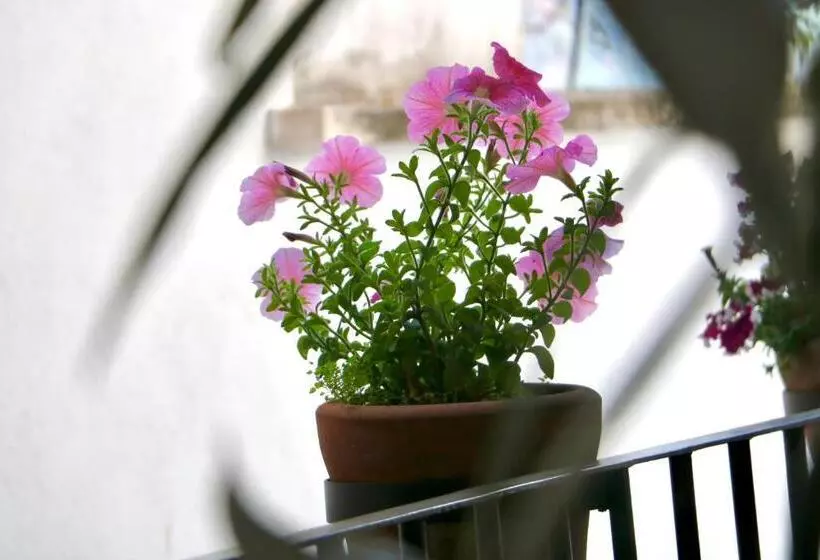 Hotelli San Sebastian