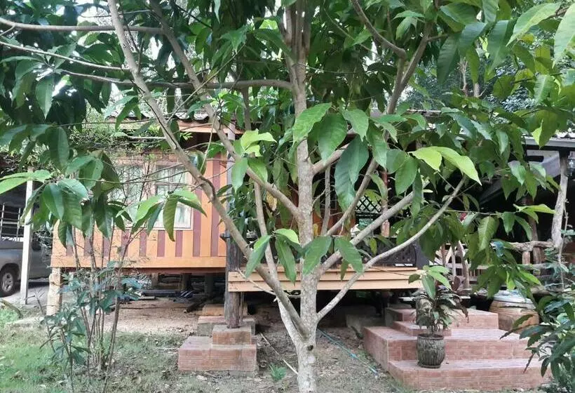 Lomakeskus Koh Kood Little Hut