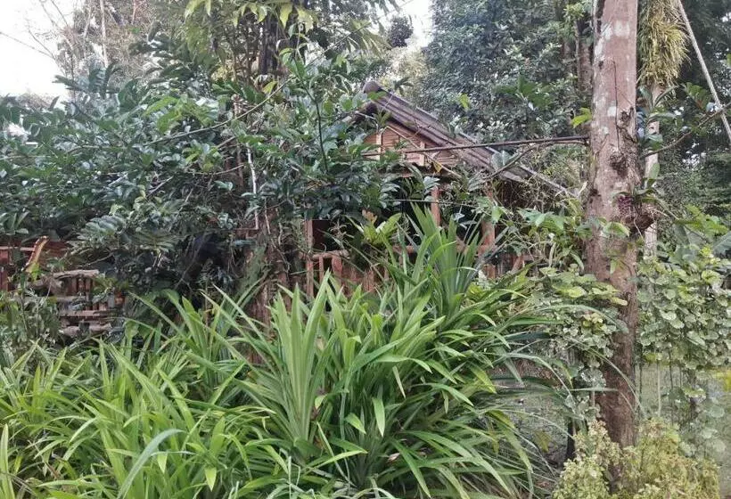 Lomakeskus Koh Kood Little Hut