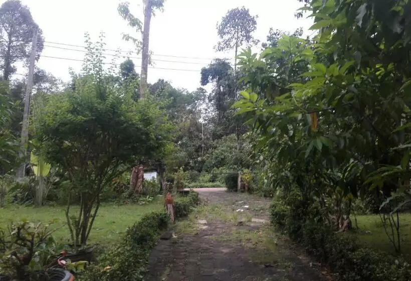 Lomakeskus Koh Kood Little Hut