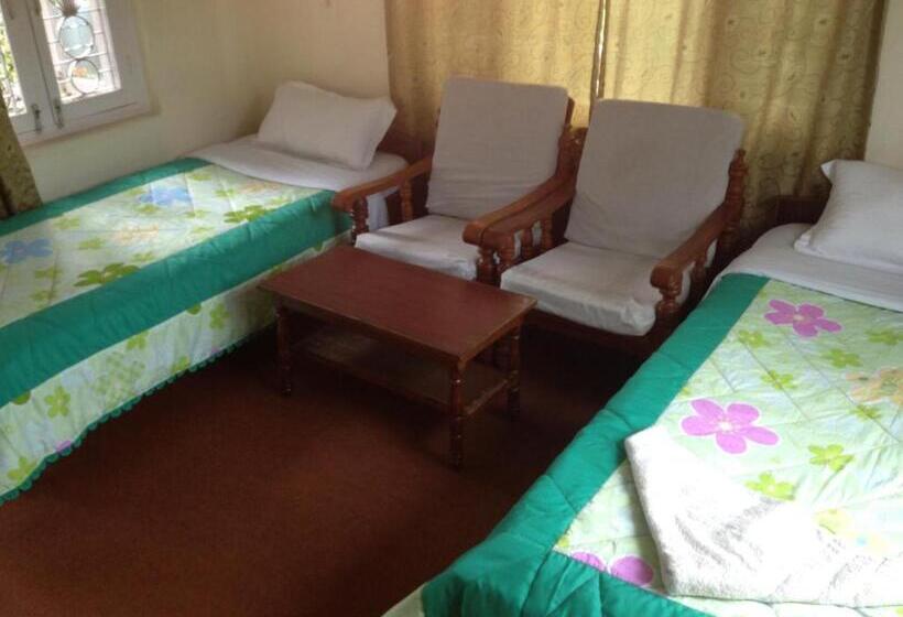 تختخواب و صبحانه New United