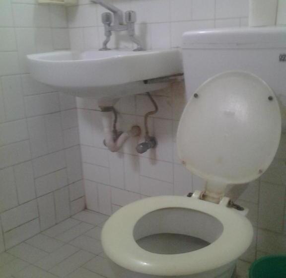 تختخواب و صبحانه New United