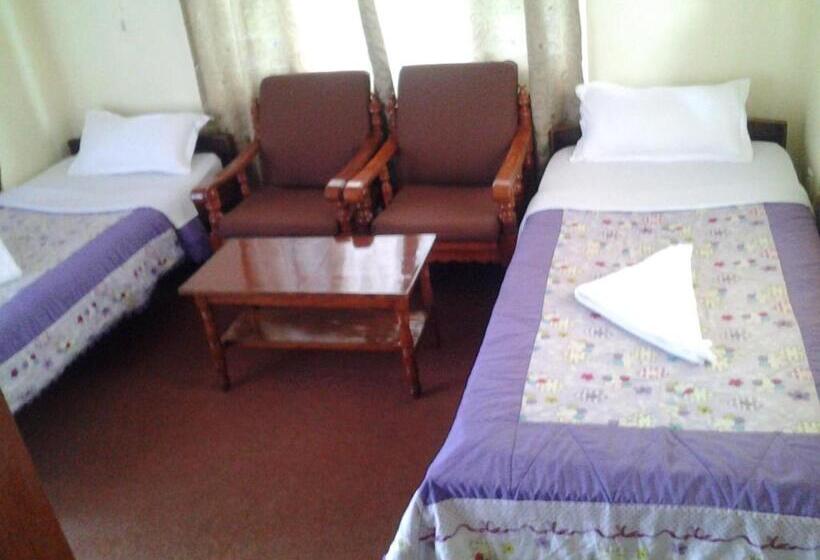 تختخواب و صبحانه New United