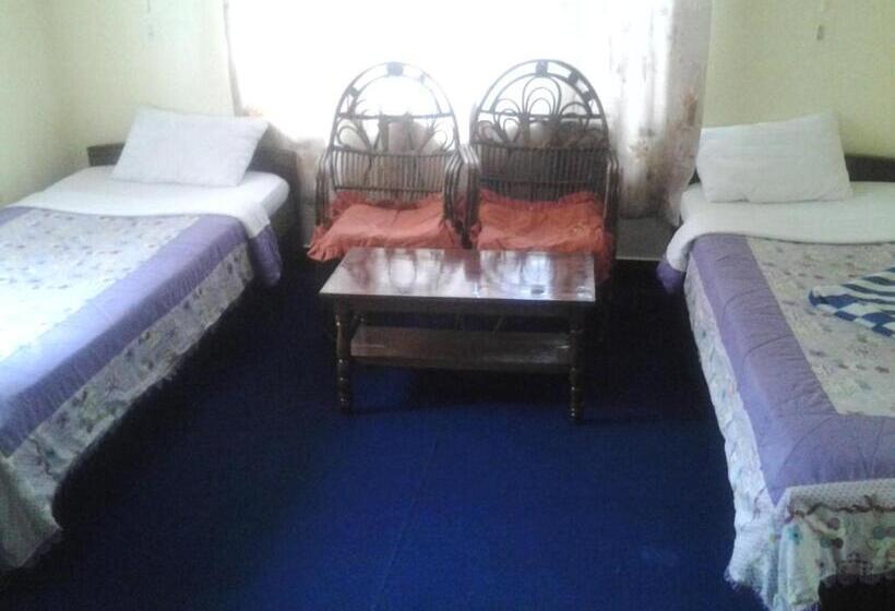 تختخواب و صبحانه New United