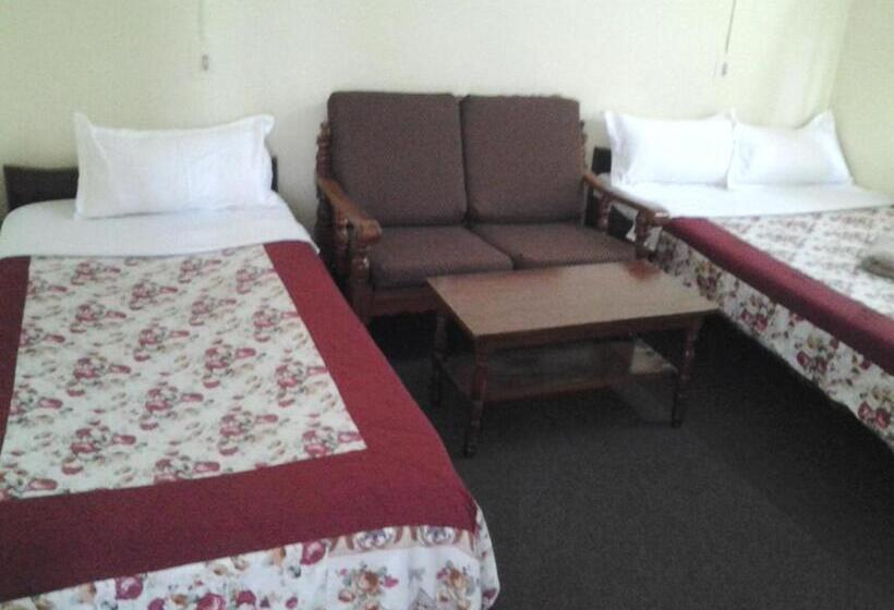 تختخواب و صبحانه New United