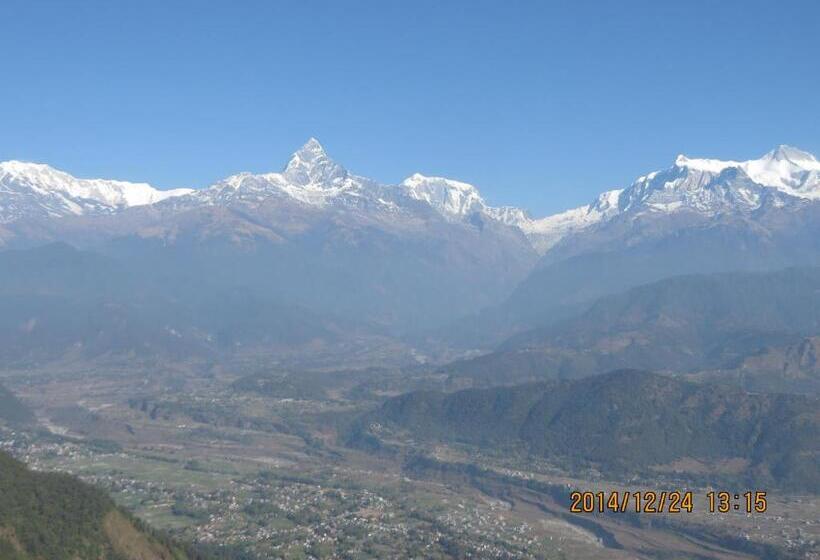 تختخواب و صبحانه New United