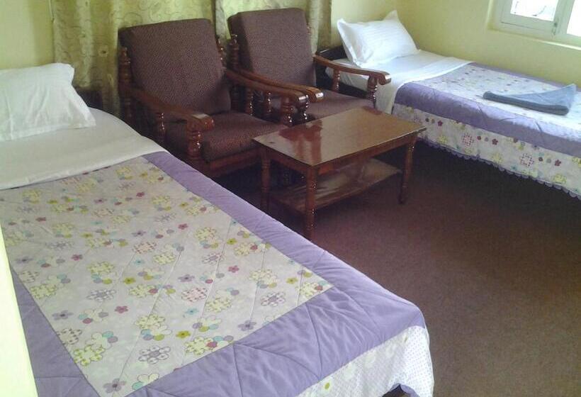 تختخواب و صبحانه New United