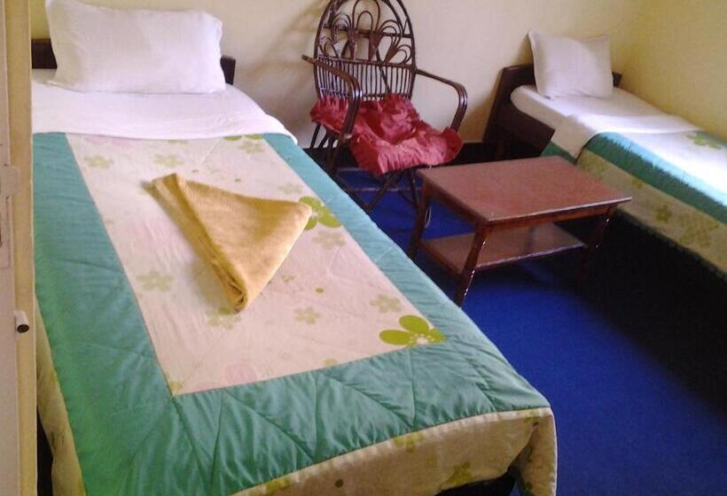 تختخواب و صبحانه New United