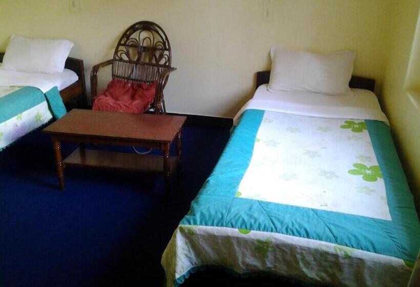 تختخواب و صبحانه New United