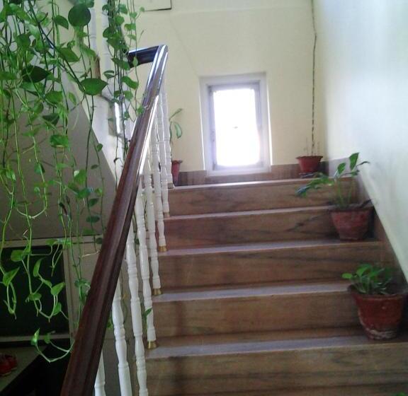 تختخواب و صبحانه New United