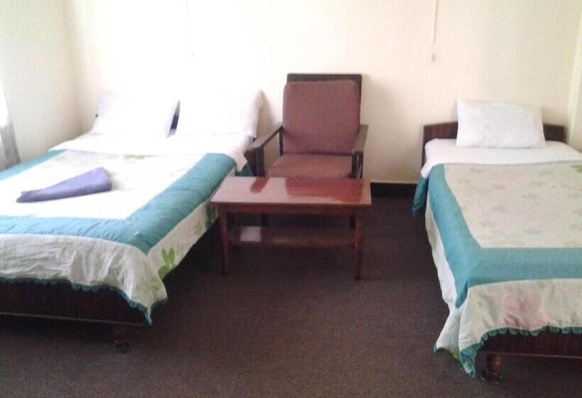 تختخواب و صبحانه New United