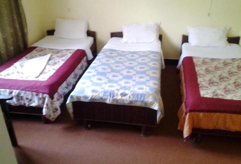 تختخواب و صبحانه New United