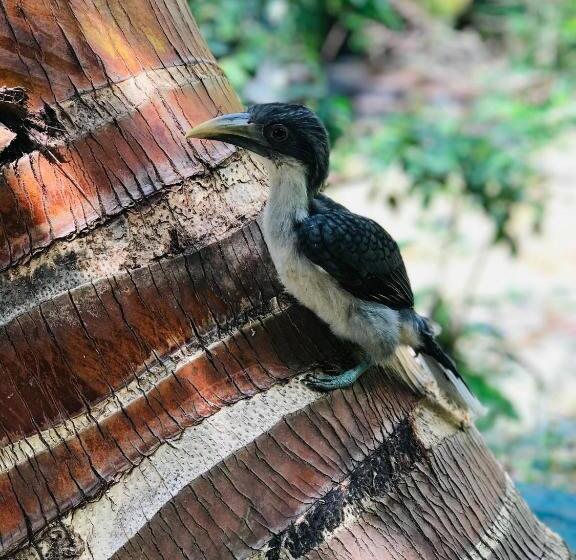 Bed and Breakfast River Splendour Home Stay