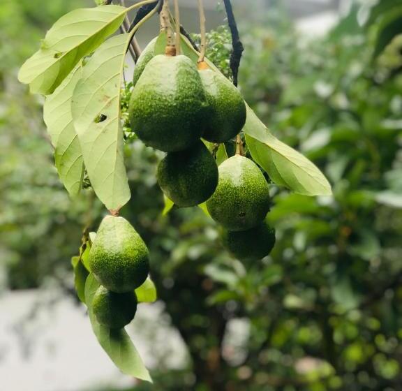 Bed and Breakfast River Splendour Home Stay