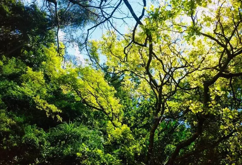 Aamiaismajoitus (B&B) River Splendour Home Stay