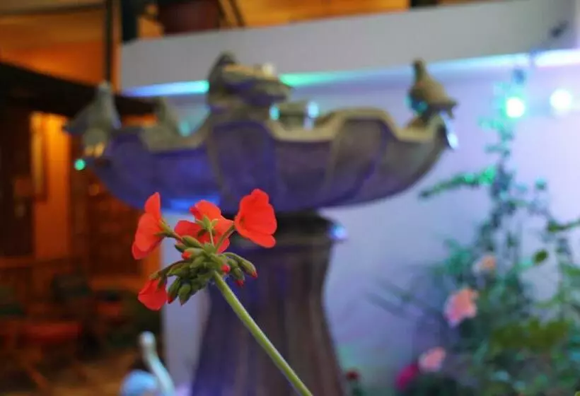 ホテル El Indio