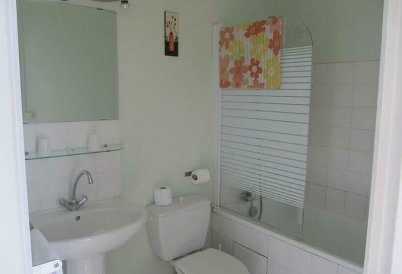 هتل Pub Vauban Terreaux