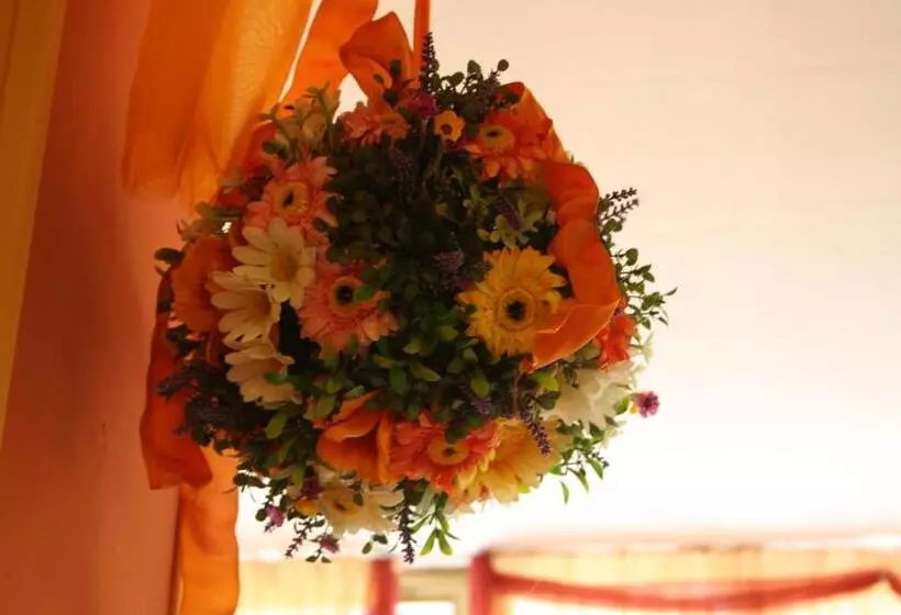 Hotelli Ristorante Il Pino