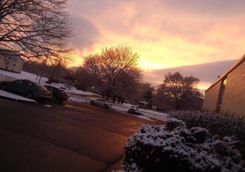 Hotel Apm Inn & Suites