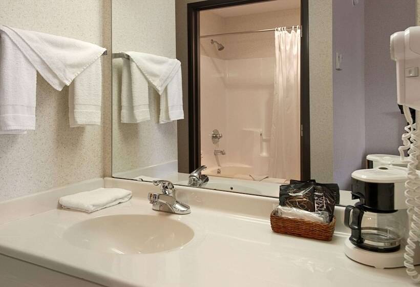 فندق Baymont By Wyndham Dowagiac