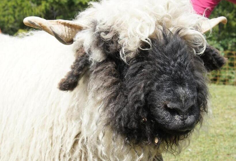 فندق Beau Séjour