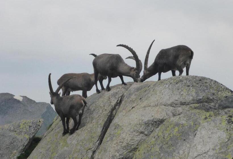 فندق Beau Séjour