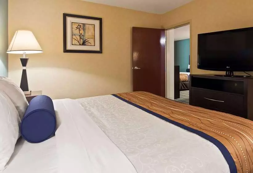 酒店 Best Western Plus Berkshire Hills Inn & Suites