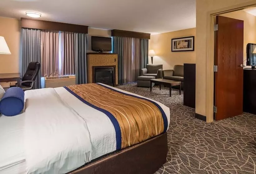 酒店 Best Western Plus Berkshire Hills Inn & Suites