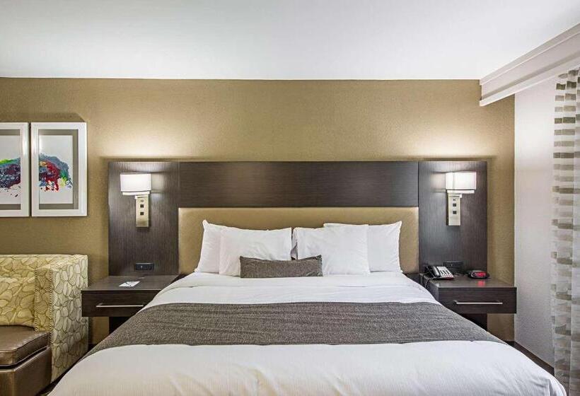 Best Western Plus Clemson Hotel & Conference Center