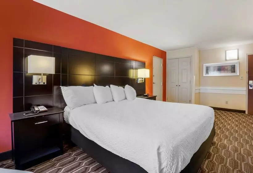 酒店 Best Western Plus Poconos