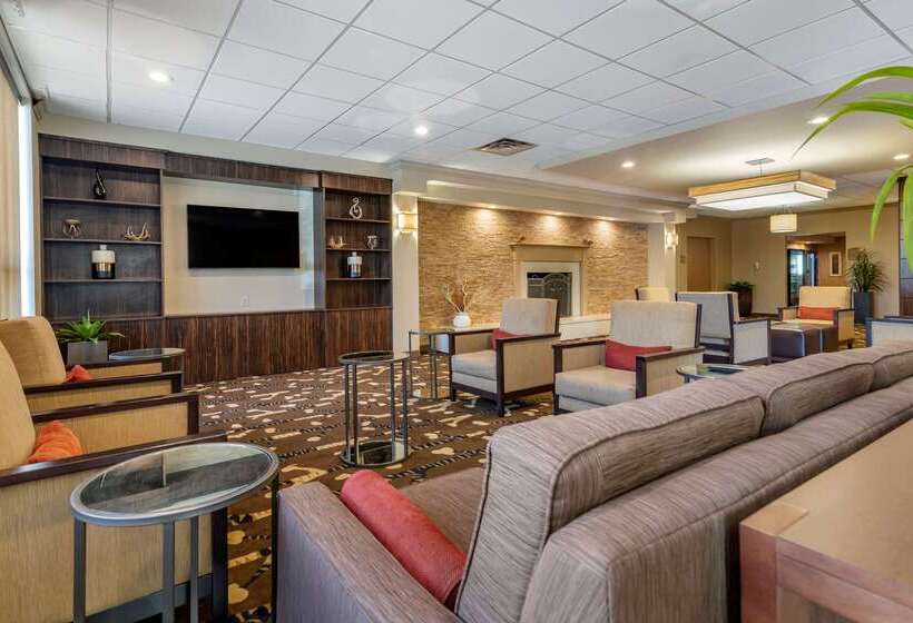 ホテル Comfort Inn Glenmontalbany South