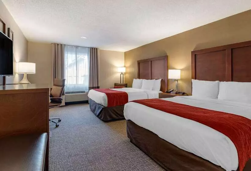 酒店 Comfort Inn Glenmontalbany South