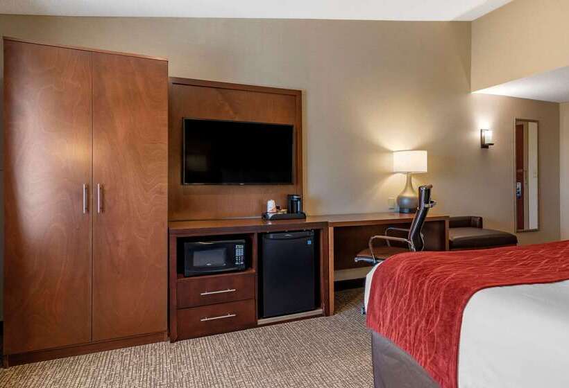 ホテル Comfort Inn Glenmontalbany South